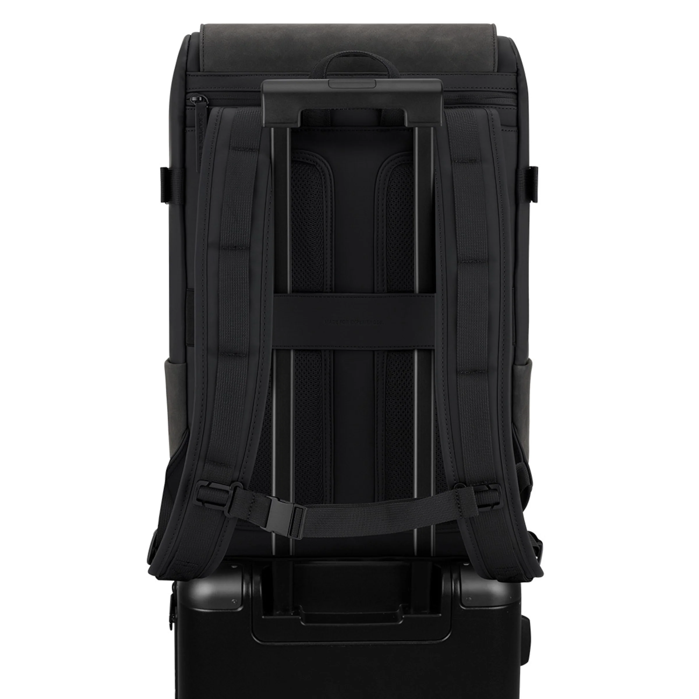 Bali Pro - Image 9
